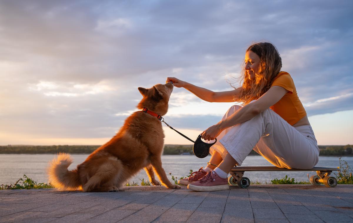 poletje, pes, rolka | Foto Shutterstock