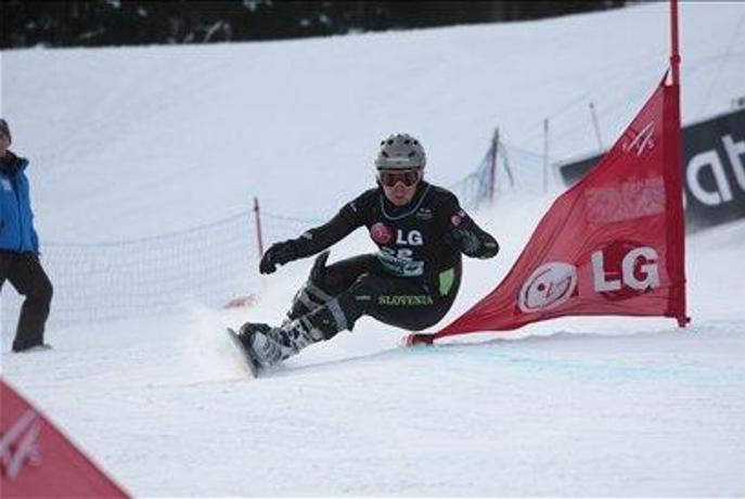 Hafner in Šušteršič reševala slovensko čast