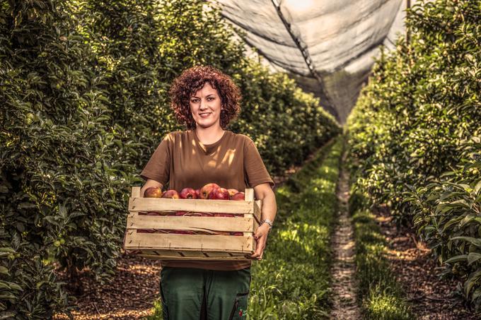 Zaradi Lidla so povečali proizvodnjo sort gala in braeburn. | Foto: Klemen Razinger