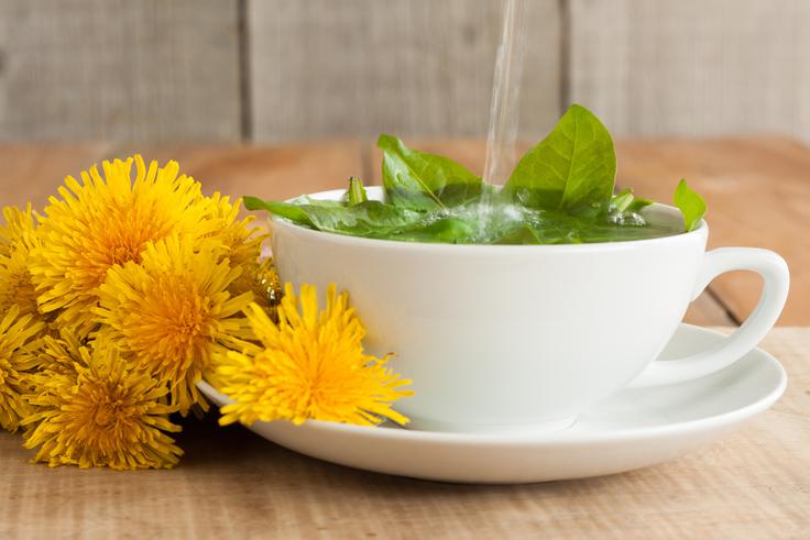 čaj regrat detoks | Foto: Shutterstock