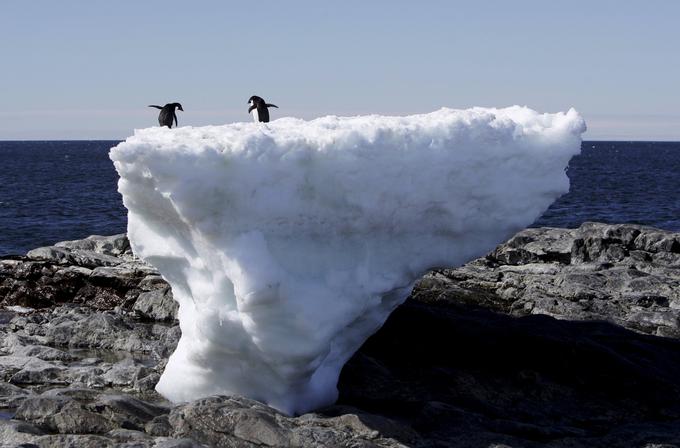 ... bo gladina svetovnih oceanov in morij narasla za od tri do štiri metre, če se v prihodnjih 200 letih začne topiti led v tako imenovanem Wilsonovem bazenu na Antarktiki. To bi v največ 10.000 letih povzročilo topljenje celotnega ledenega pokrova na vzhodnem delu Antarktike, najjužnejše celine sveta.  | Foto: Reuters