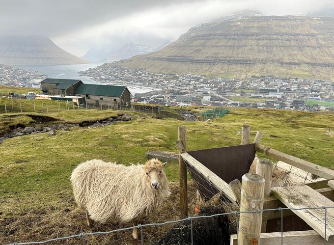 KI Klaksvik prihaja iz istoimenskega mesta z okrog pet tisoč prebivalci, drugega največjega na Ferskih otokih, evropske tekme pa igra v Torshavnu. | Foto: Guliverimage