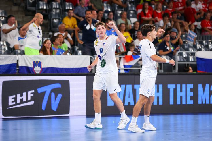 Aljuš Anžič | Foto: EHF