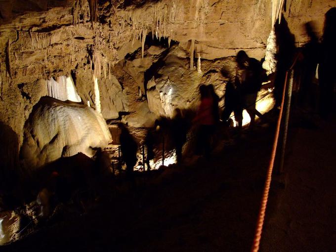 Županovo jamo lahko najdete osem kilometrov južno od Grosuplja. | Foto: www.zupanovajama.si