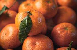 Pozor, znani trgovec zaradi vsebnosti pesticida odpoklical mandarine
