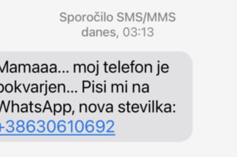 Slovenski starši, pozor: če vam otrok pošlje to sporočilo, ga izbrišite!