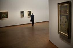 Loški muzej začasno zaprt