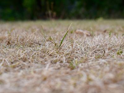 Arso opozarja na sušo in svari: Razmere se bodo še zaostrovale