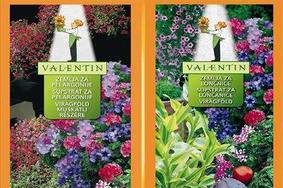 Valentin zemlje novega tisočletja