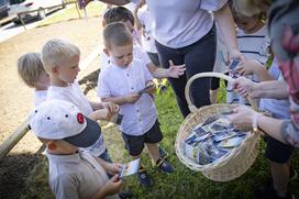 SŽ Sejemo sončno prihodnost Kočevje