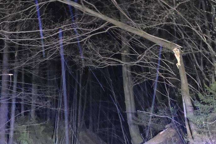 Zadnja napoved Arsa: sunki vetra bodo oslabeli, a nevarnost ostaja