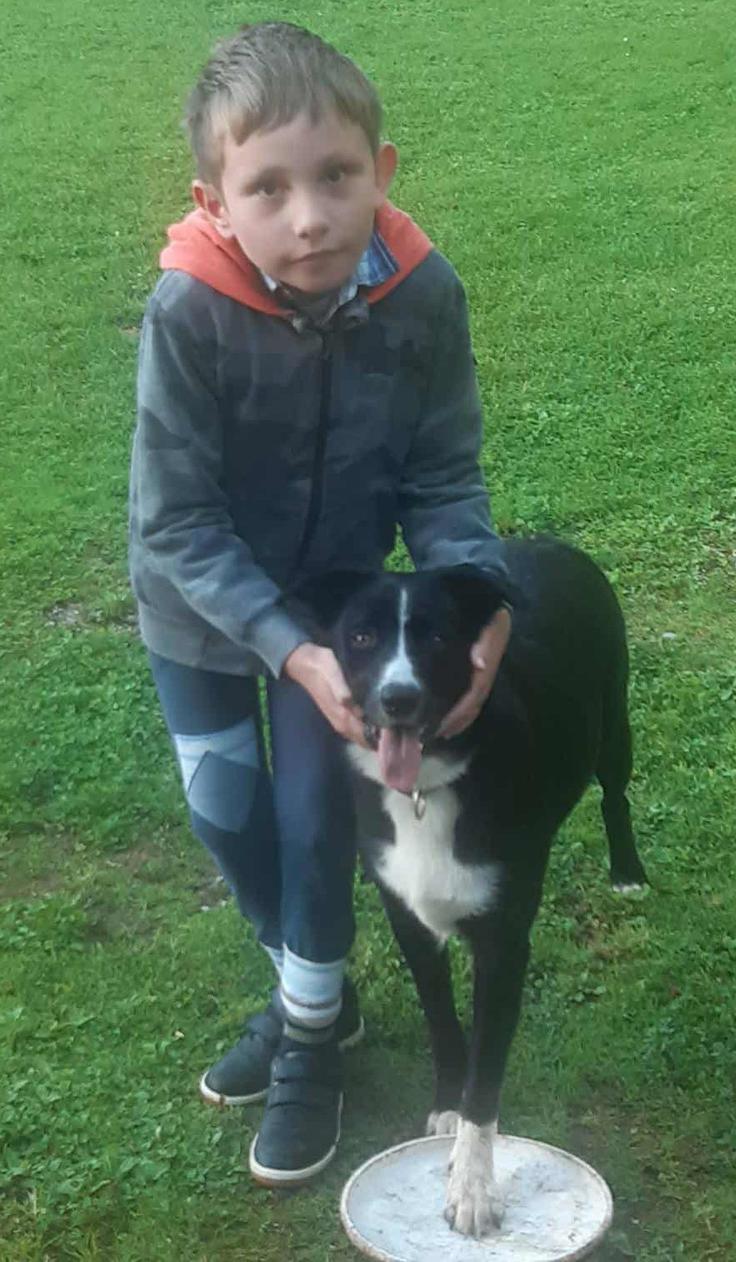 otroci, pisma malih borcev, Božiček za male borce | Foto: Društvo Viljem Julijan