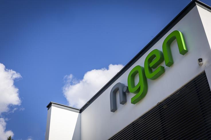 ngen | Foto: Bojan Puhek