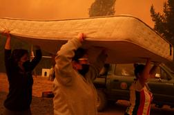 Čile: obsežni gozdni požari terjali najmanj 23 žrtev