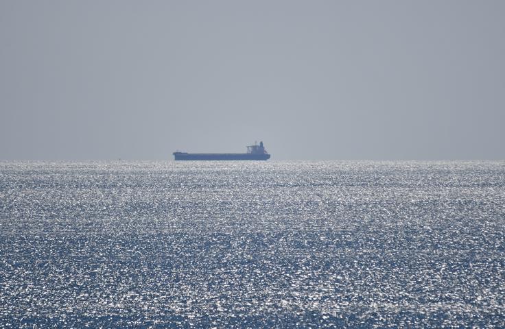 Tanker je uradno v lasti turškega podjetja Louis Marine Shipholding Enterprises. V preteklosti je plul pod zastavami najmanj štirih različnih držav. | Foto: Shutterstock