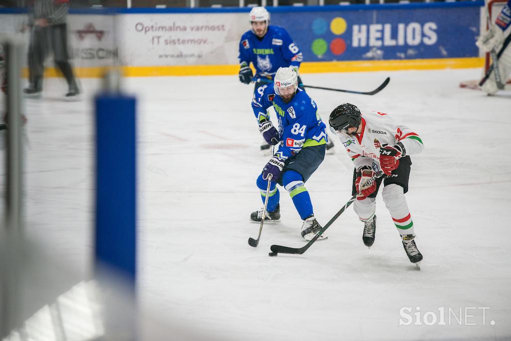 slovenska hokejska reprezentanca Madžarska Bled