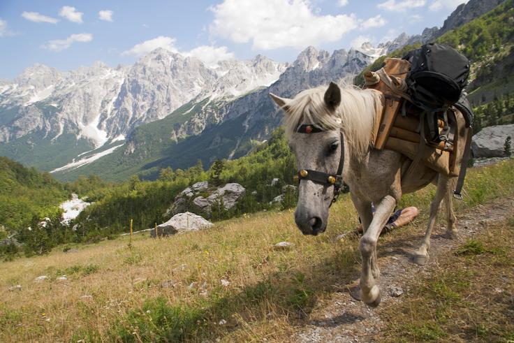Albanija | Foto: Getty Images
