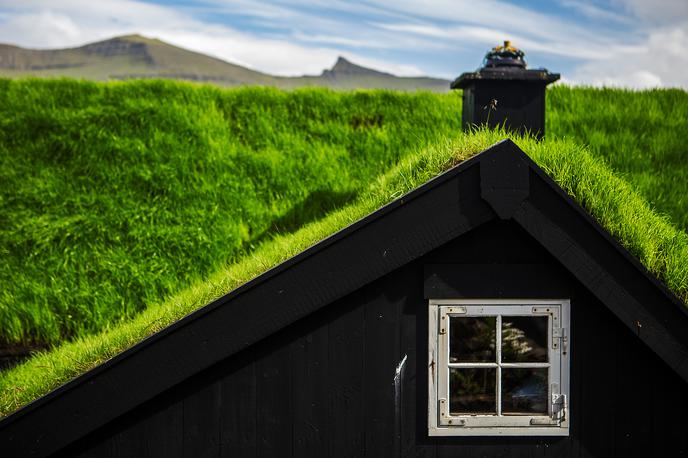 zelena streha | Foto Thinkstock