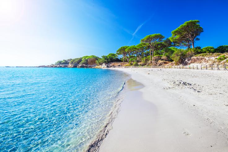 Palombaggia, Korzika | Foto: Shutterstock
