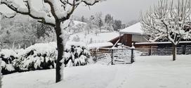 Sneg, Trebelno
