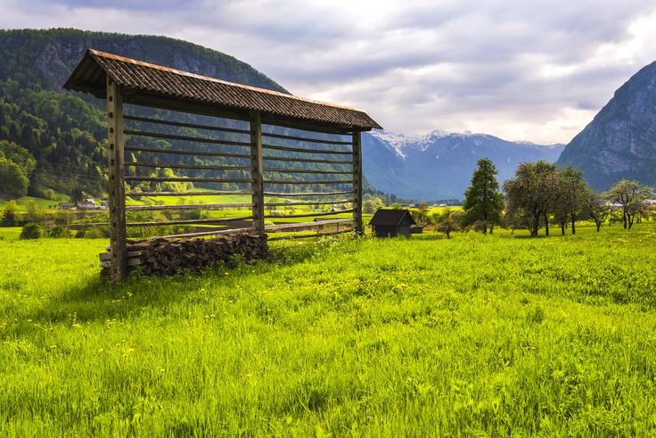 Slovani so območje zgornjega Posavja oziroma Gorenjske najverjetneje poselili na prelomu 6. in 7. stoletja. | Foto: Guliverimage