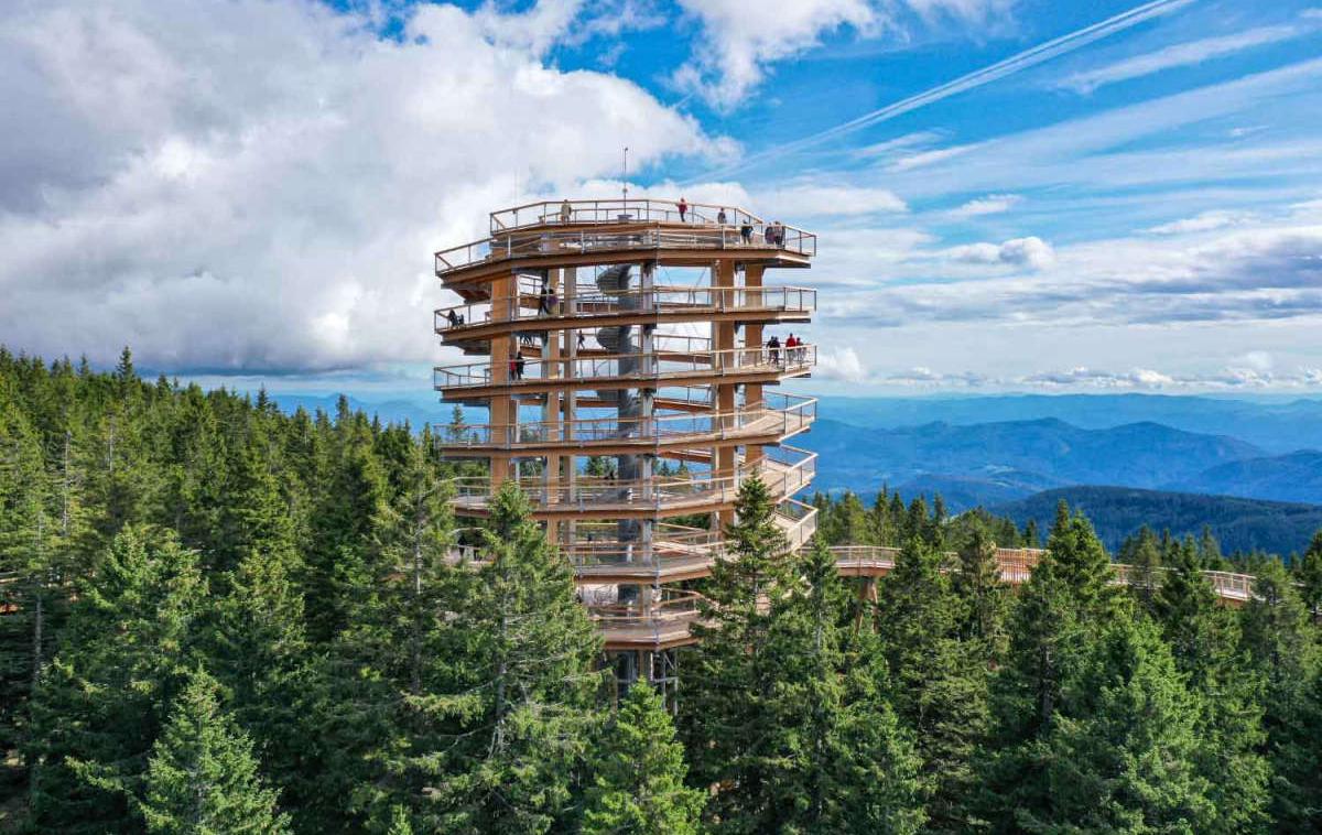Rogla Pohorje Pot med krosnjami pohorje_1200 | Pot med krošnjami na Rogli. | Foto arhiv Pot med krošnjami
