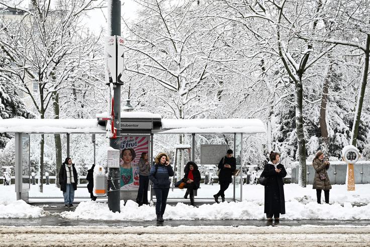 Dunaj, Avstrija, sneg | Foto: Reuters