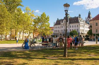 Kdo res vodi po Sloveniji?