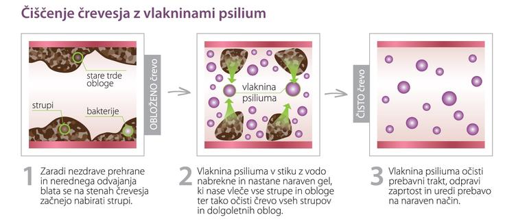 Sanofarm | Foto: 