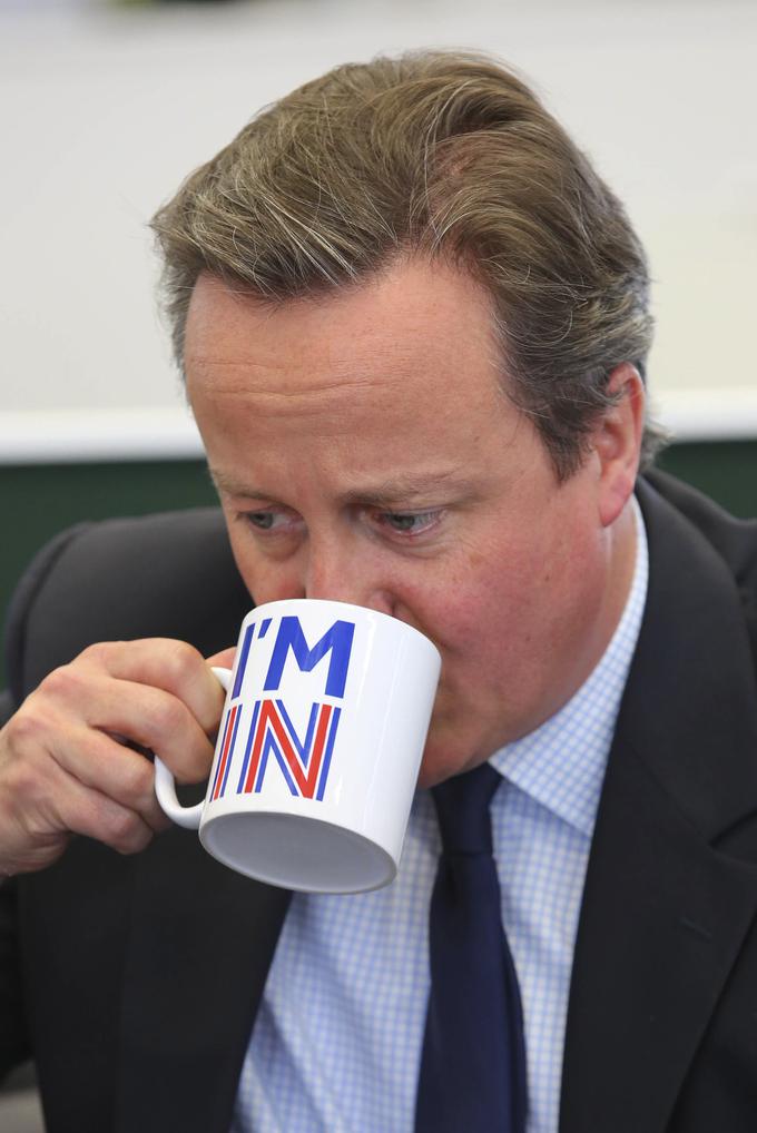 Britanski premier David Cameron zagovarja obstanek v EU. | Foto: Reuters