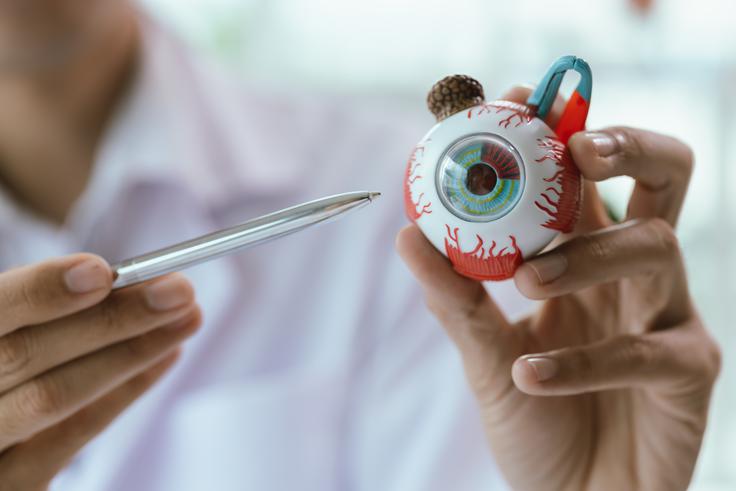 Kapljice na osnovi acediklina delujejo na zenico podobno, kot deluje fotoaparat. | Foto: Shutterstock