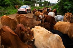 Saj ni res, pa je: v blatnem kaosu odstopili prvi trije #video