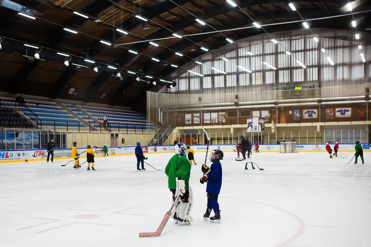 hokejska akademija Anže Kopitar Tomaž Razingar | Foto: Grega Valančič/Sportida
