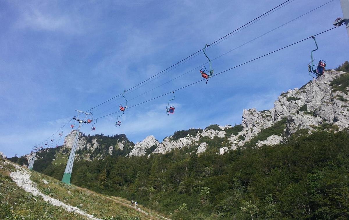 Zelenica | Foto Alenka Teran Košir