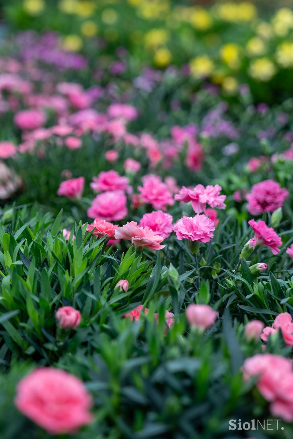 Eurogarden