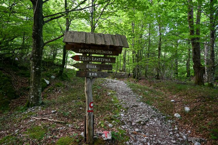 Na razpotju po dveh kilometrih gremo naravnost po lažji pešpoti. | Foto: Matej Podgoršek