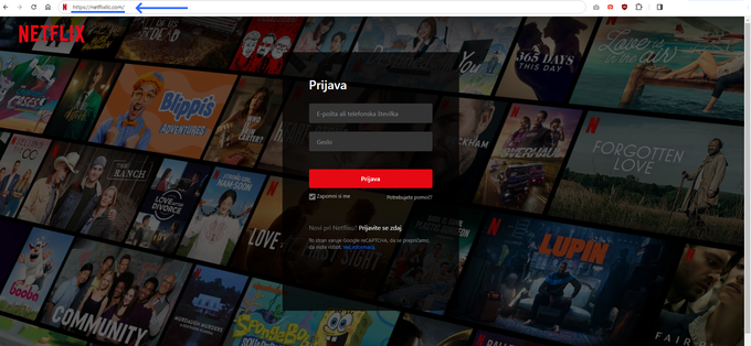 Naslov spletne strani razkriva, da ne gre za uradno Netflixovo spletišče, temveč ponaredek, namenjen goljufijam. | Foto: posnetek zaslona