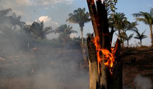 Požari v Amazoniji: Bolsonaro začasno prepovedal kurjenje v naravi