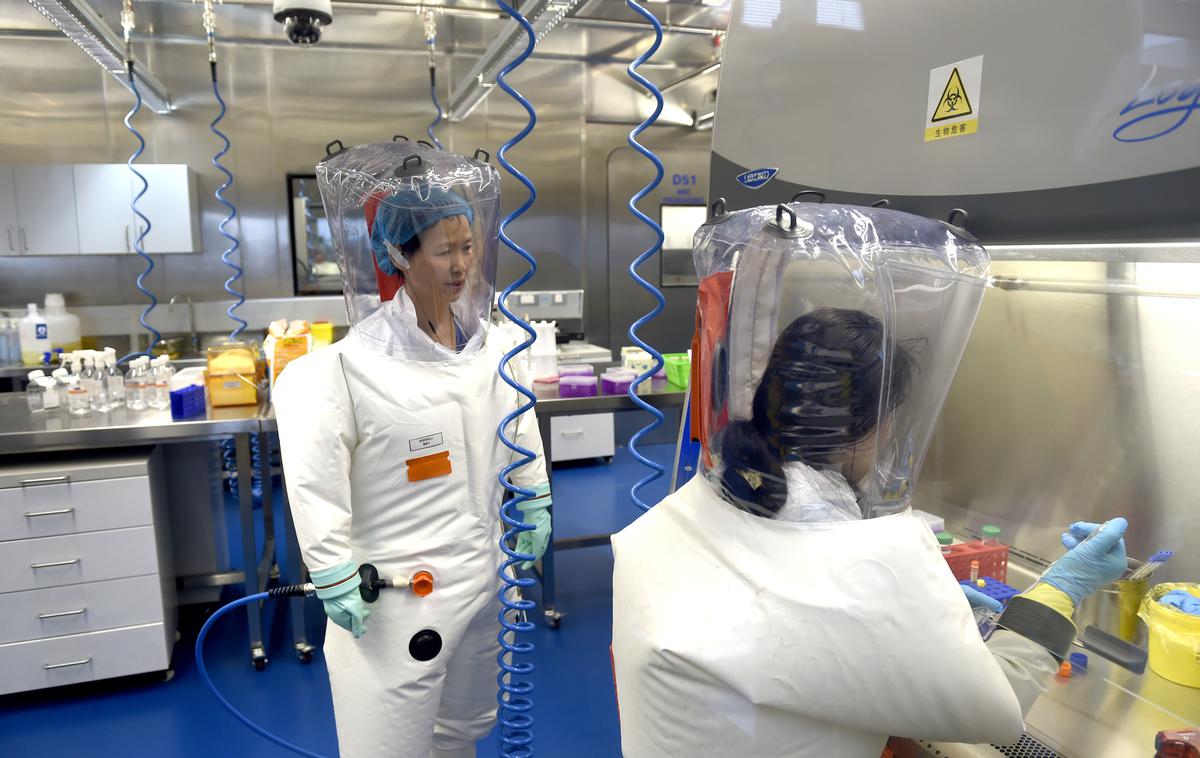 Ši Žengli | Veliko teorij o laboratorijskem izvoru novega koronavirusa je povezanih z wuhanskim inštitutom za virologijo, na katerem kitajska virologinja Ši Žengli (levo) že leta tudi z denarjem zahodnih držav preučuje viruse v netopirjih. | Foto Guliverimage