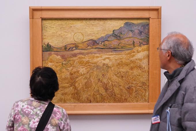 Van Gogh | Foto: Guliverimage