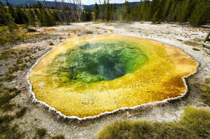 Park Yellowstone velja za najstarejši narodni park na svetu. | Foto: Guliverimage